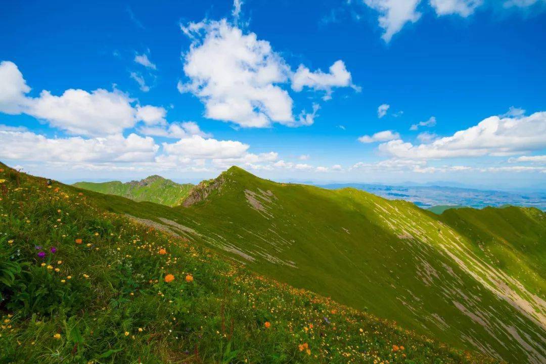 开云下载-湖北联赛表现亮眼，勇攀颠峰