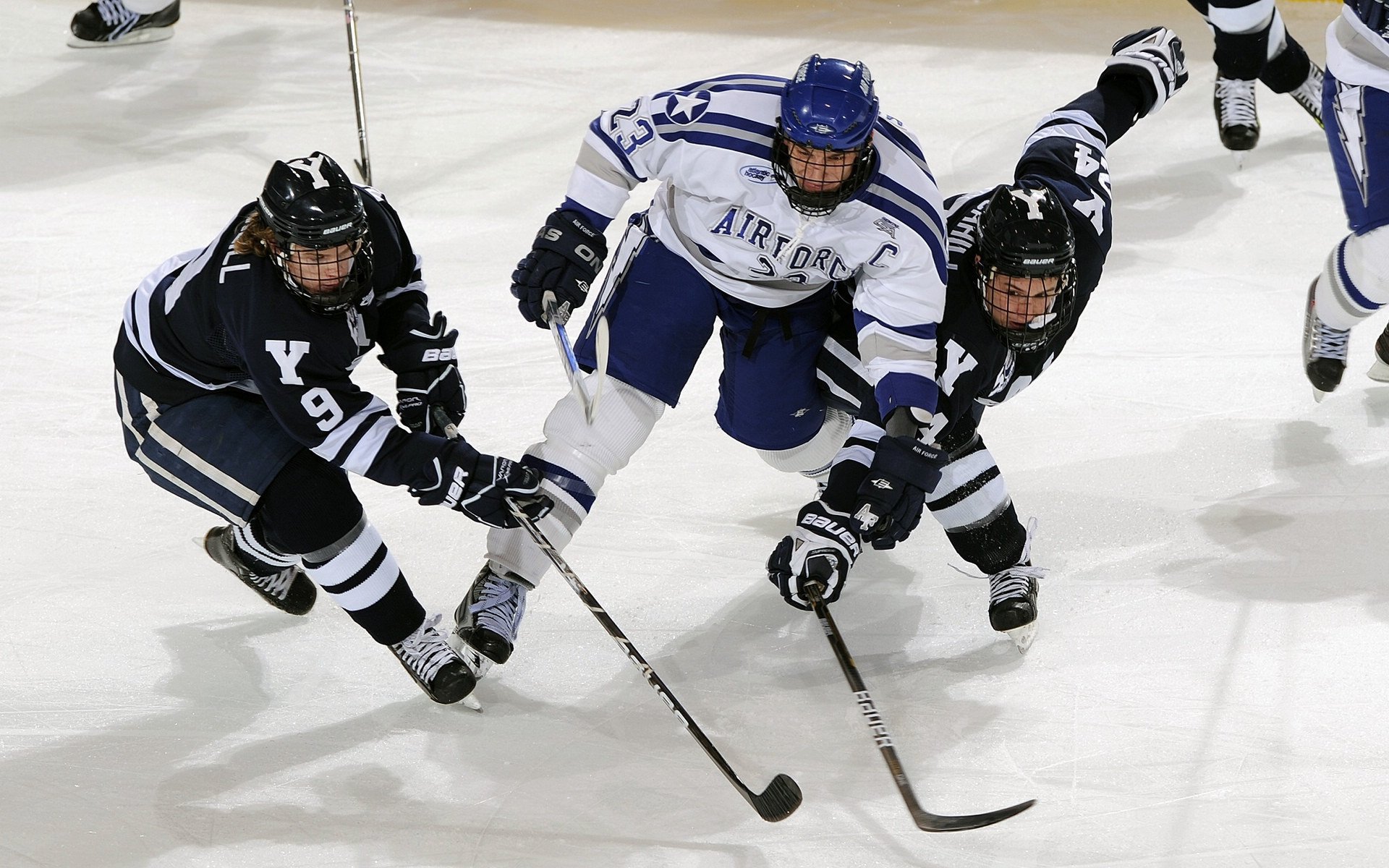 西域雄鹰展翅翱翔，英格拉姆一剑封喉定江山